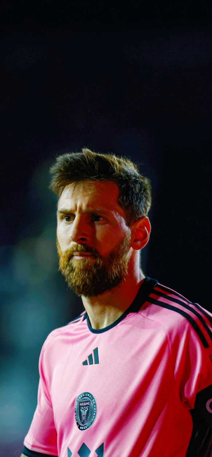 日本职业拳 日本职业拳