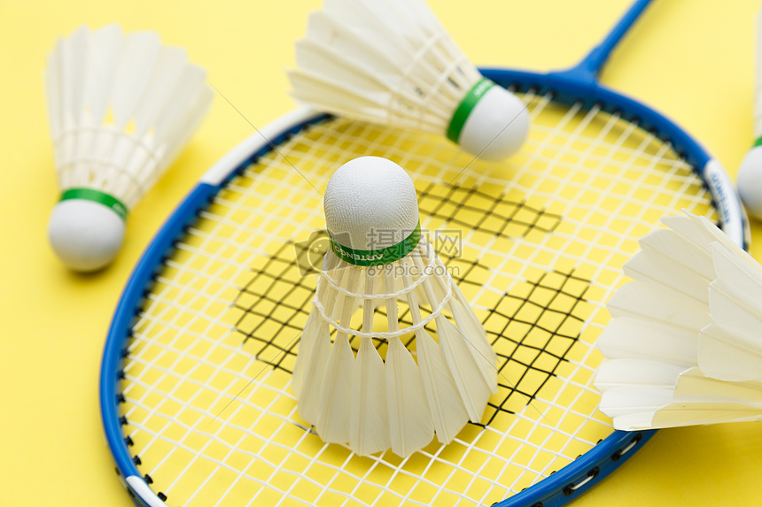 本文将揭示 本文将揭示